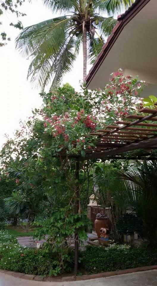 Periwinkle Villa Κο Τσανγκ Εξωτερικό φωτογραφία